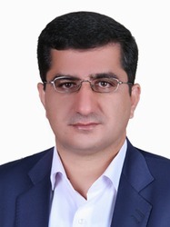 دکتر محمدرضا حاجی زاده